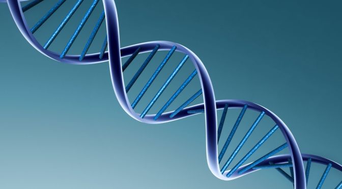 Ciencia: Homosexualidad tiene base genética